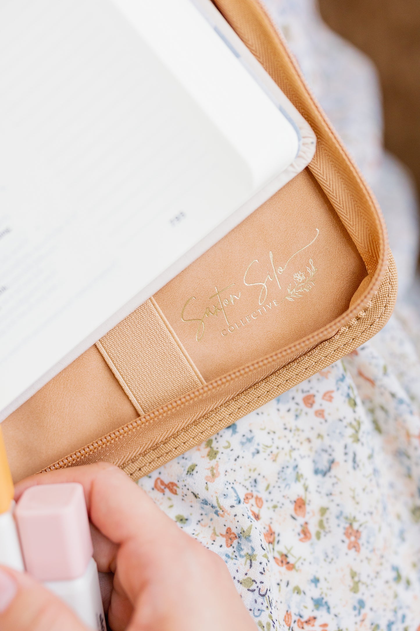 All Things New  | Carmel Bible Cover